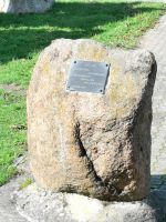 123