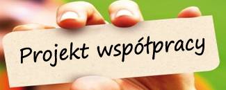 projekt wspolpracy